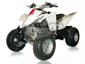 2010 BamX BX350-S Assault photo